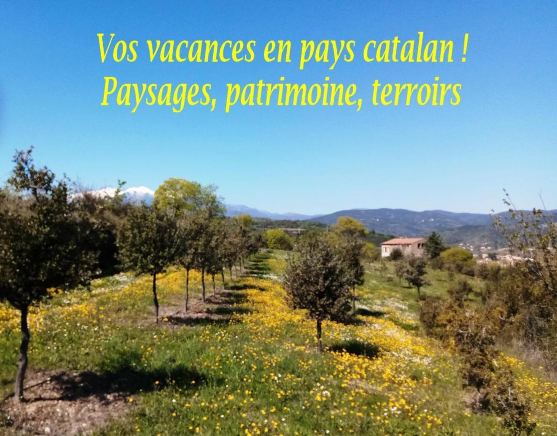 Ta Maria Apartment Céret Екстериор снимка